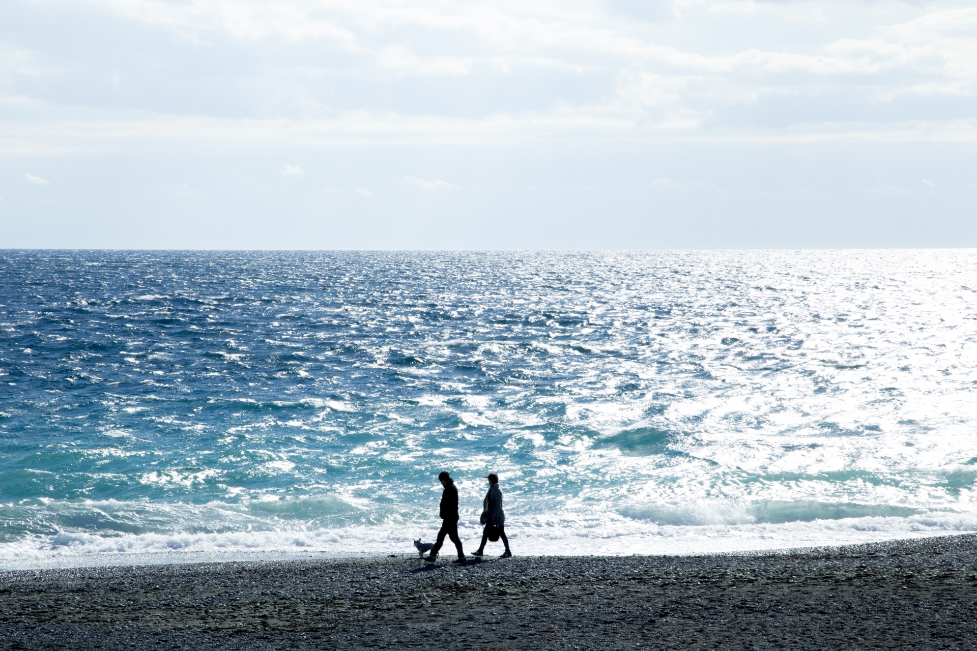 ファミリーホール湘南台、ペット散骨も承り中。
