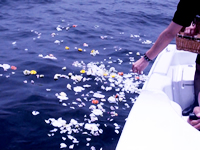 ファミリーホール湘南台、散骨の流れ・献花と献酒